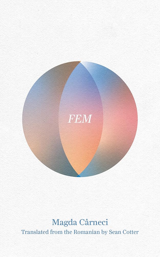 FEM cover image