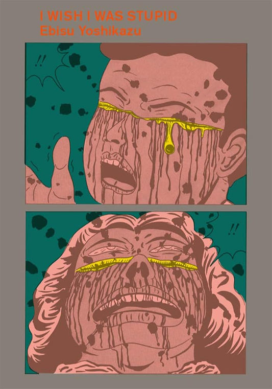 I Wish I Was Stupid cover image