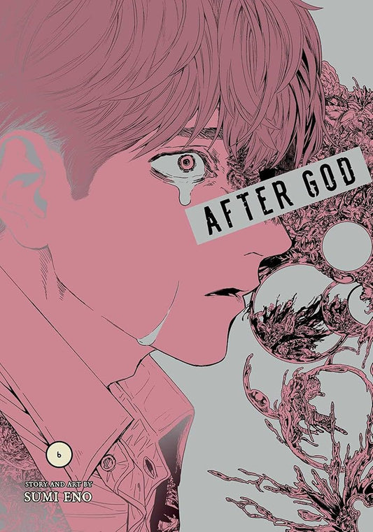 After God, Vol. 6 cover image