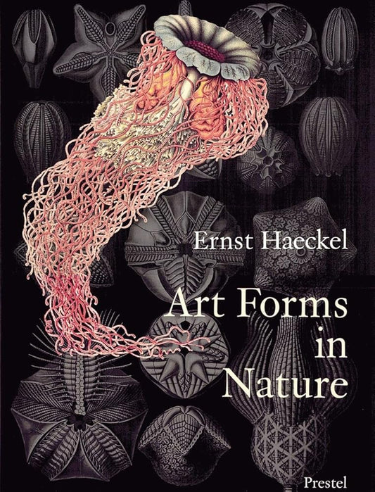 Art Forms in Nature: The Prints of Ernst Haeckel cover image