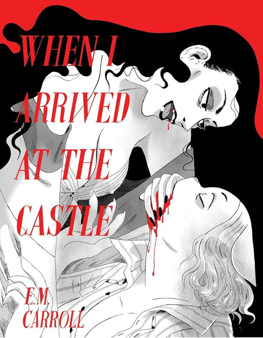 When I Arrived at The Castle cover image