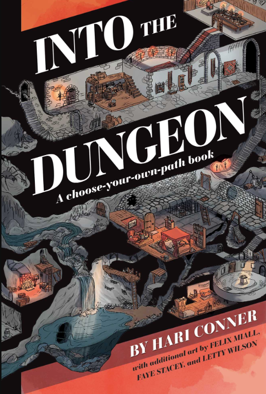 Into the Dungeon (A Choose-Your-Own-Path Book)