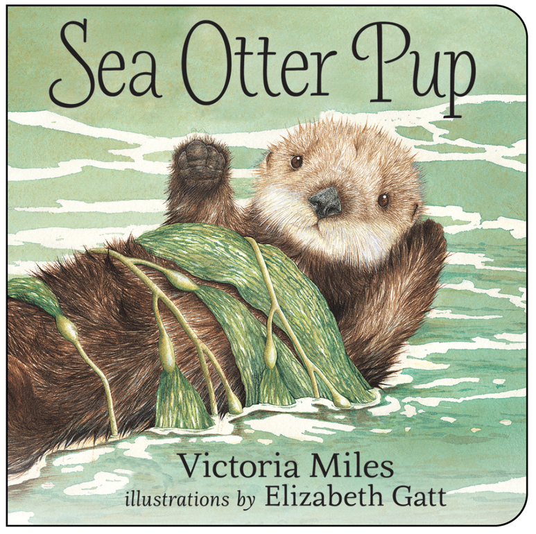 Sea Otter Pup (Board Book)