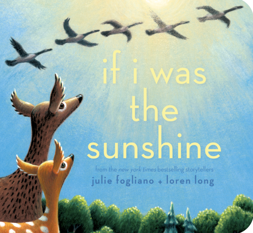 If I Was The Sunshine (Board Book)