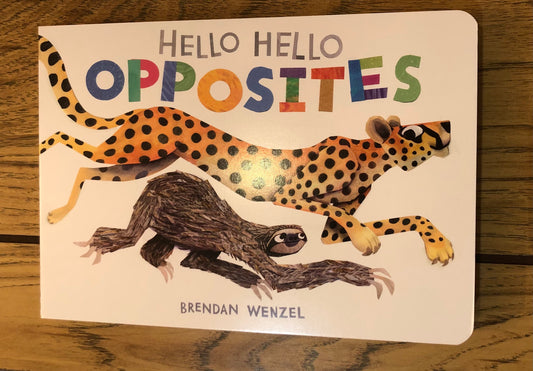 Hello Hello Opposites