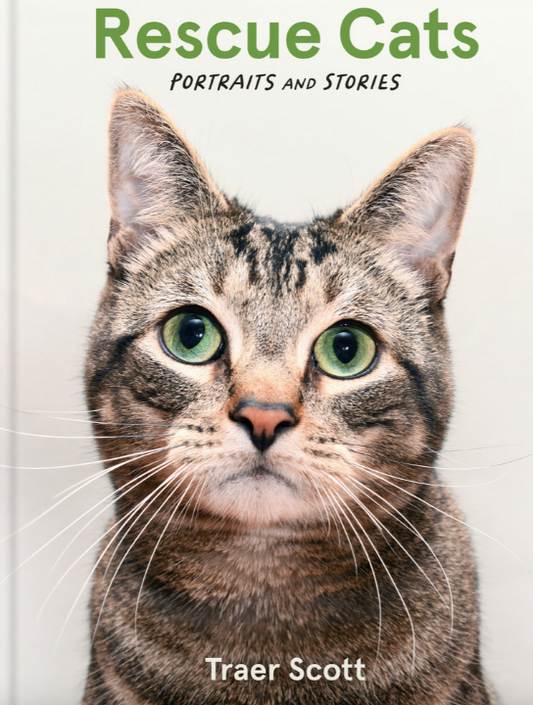 Rescue Cats: Portraits and Stories