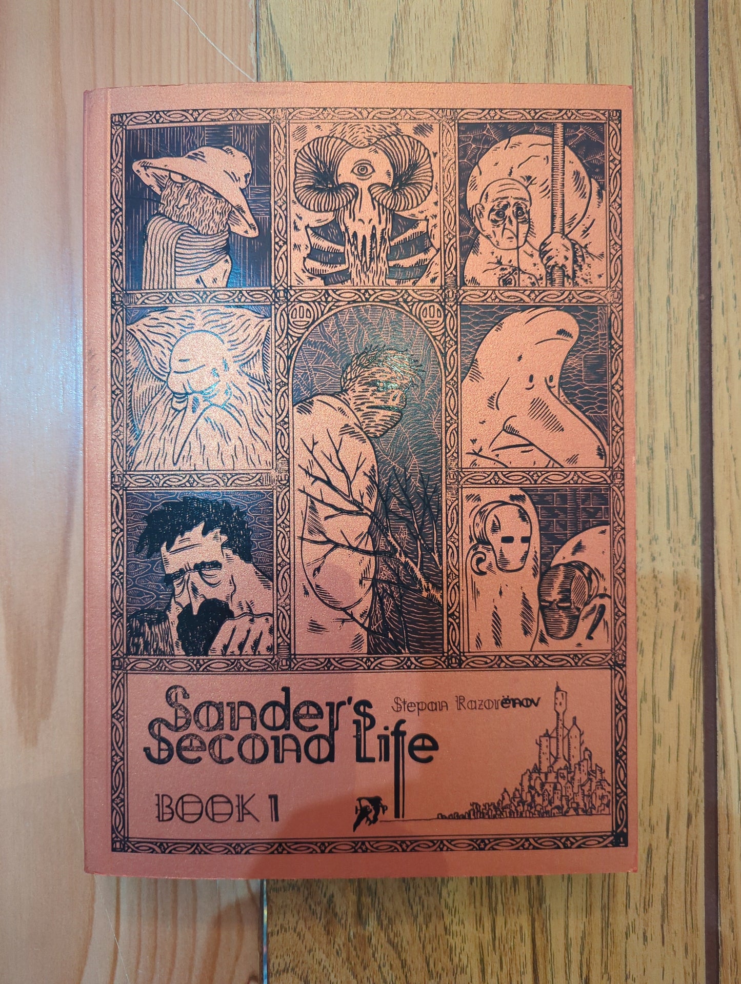 Sander's Second Life