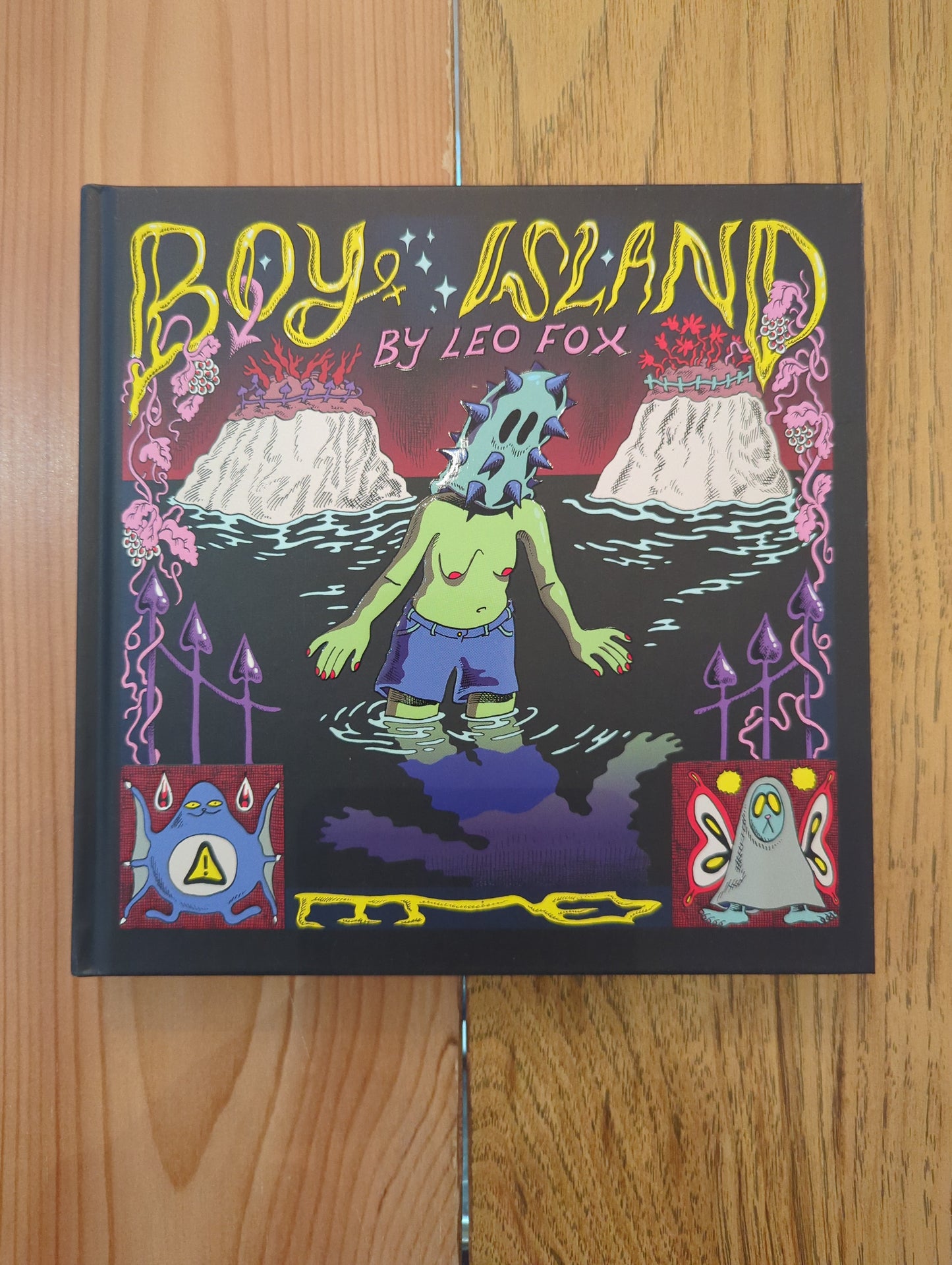 Boy Island