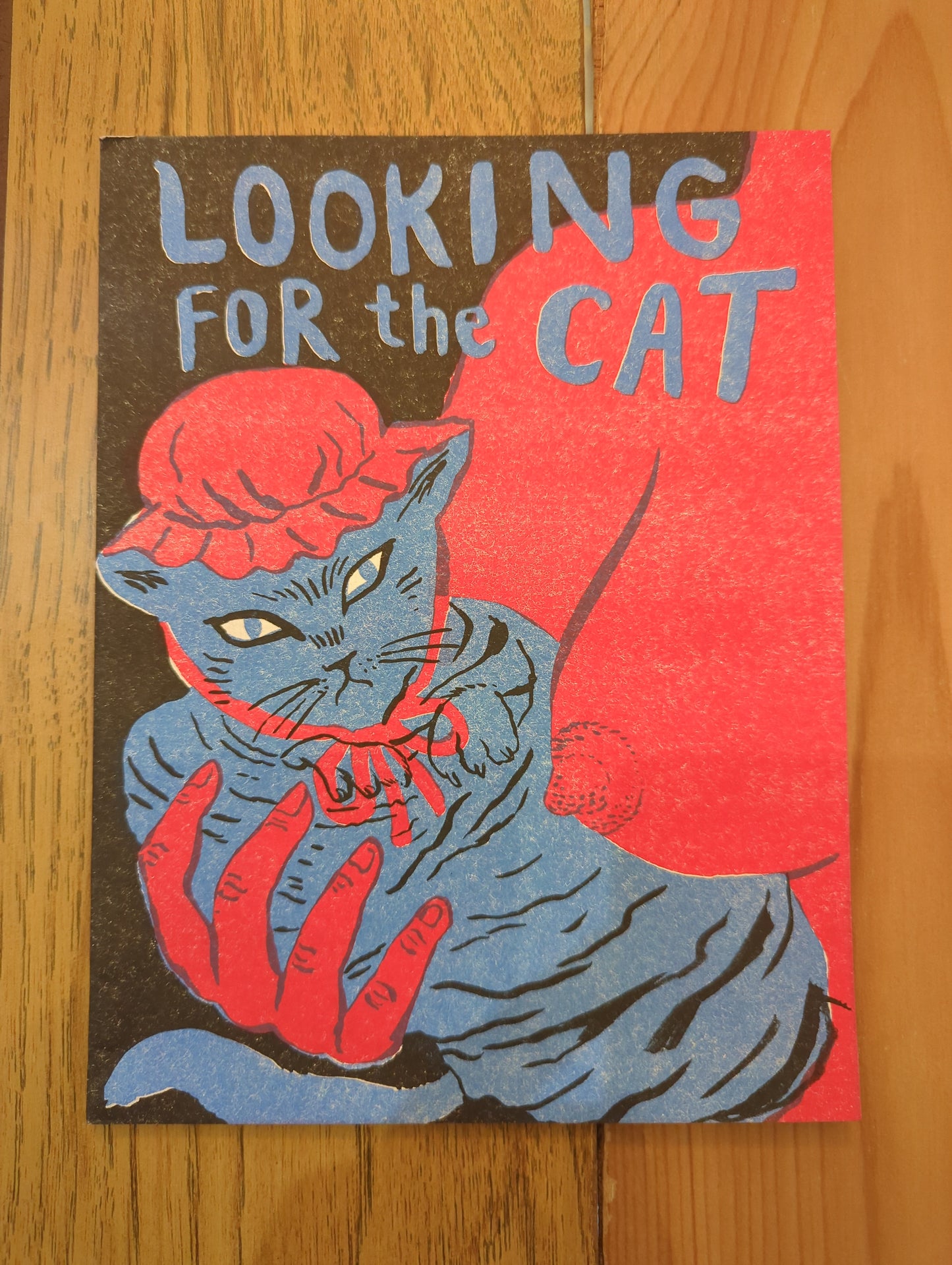 Looking for the Cat 2