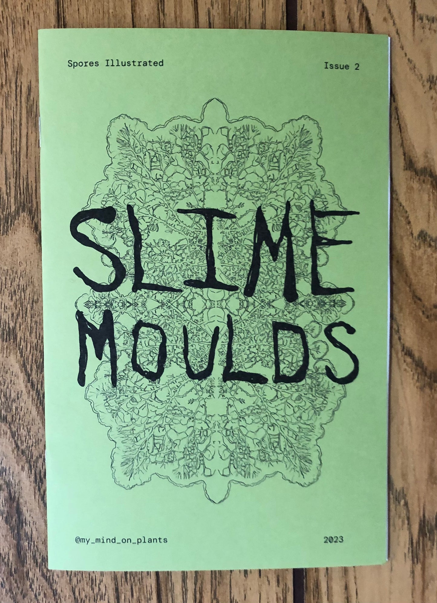 Spores Illustrated no.2: Slime Moulds