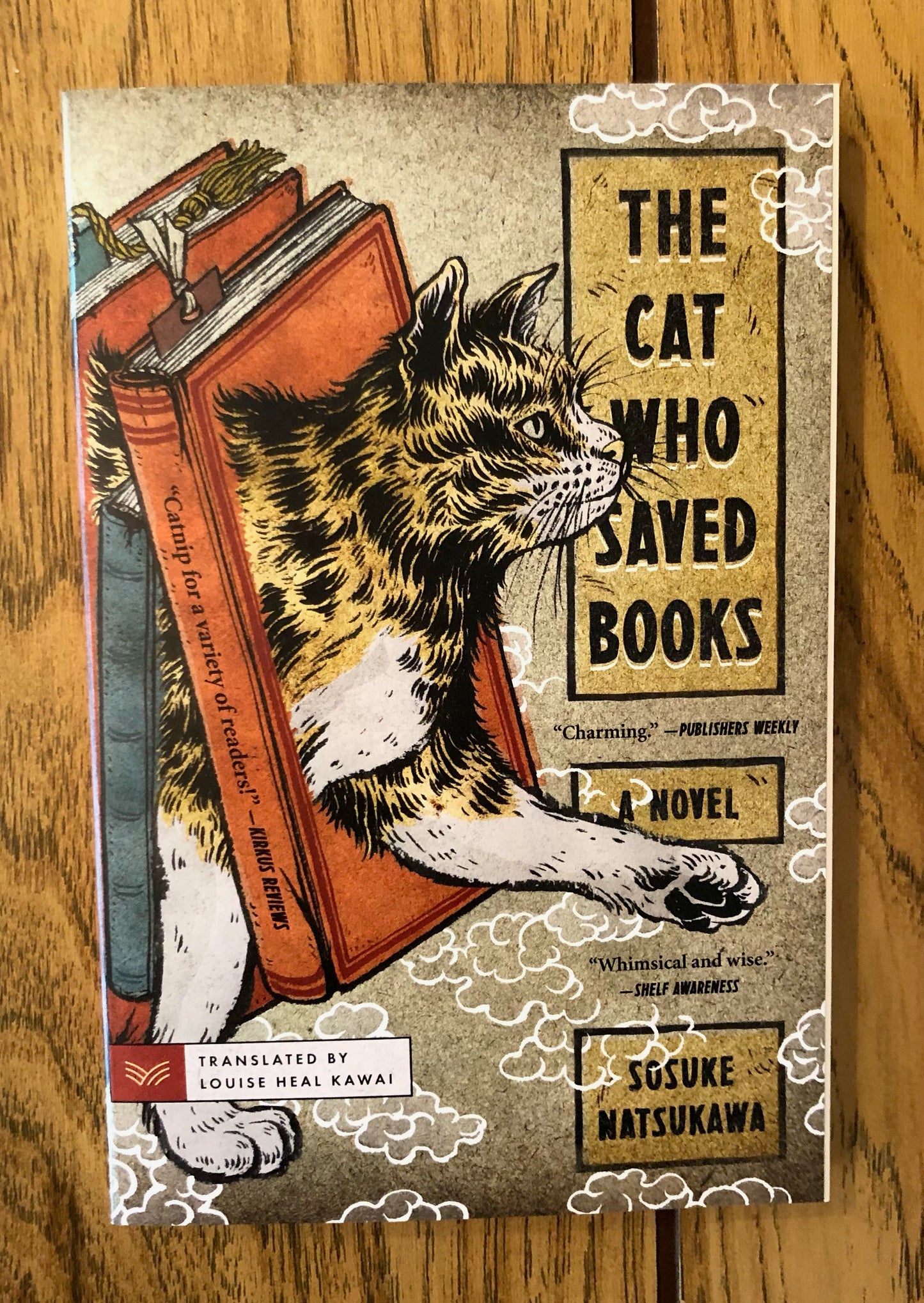 The Cat Who Saved Books
