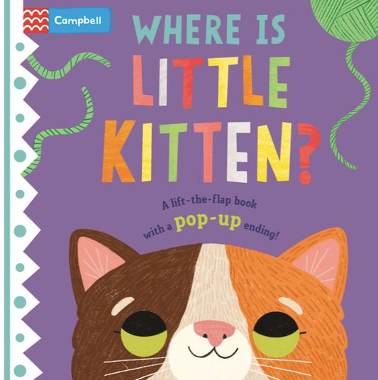 Where is Little Kitten?