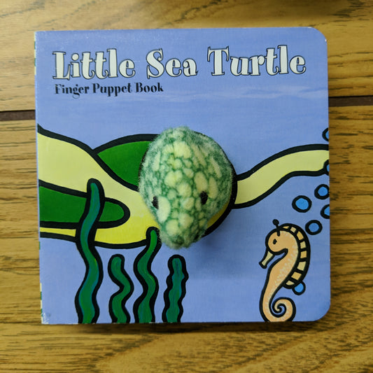 Little Sea Turtle