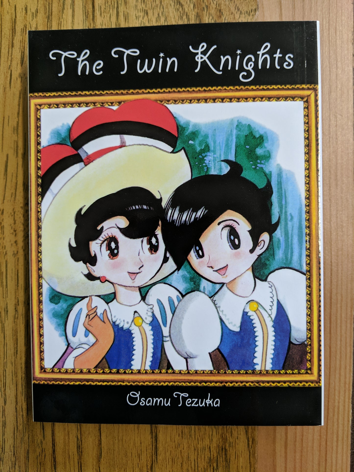 The Twin Knights