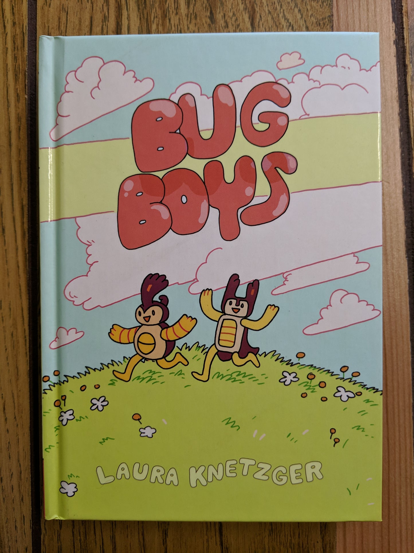 Bug Boys (#1)
