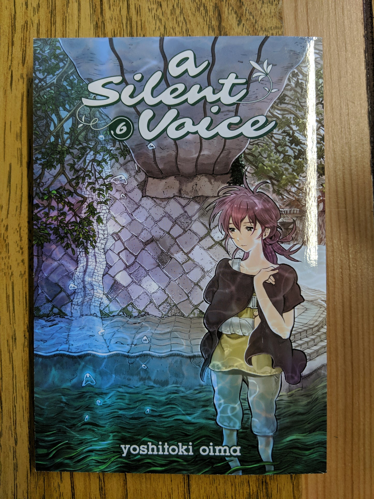 A Silent Voice Vol 6