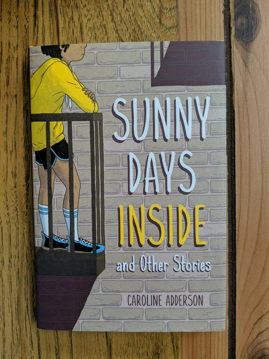 Sunny Days Inside and Other Stories