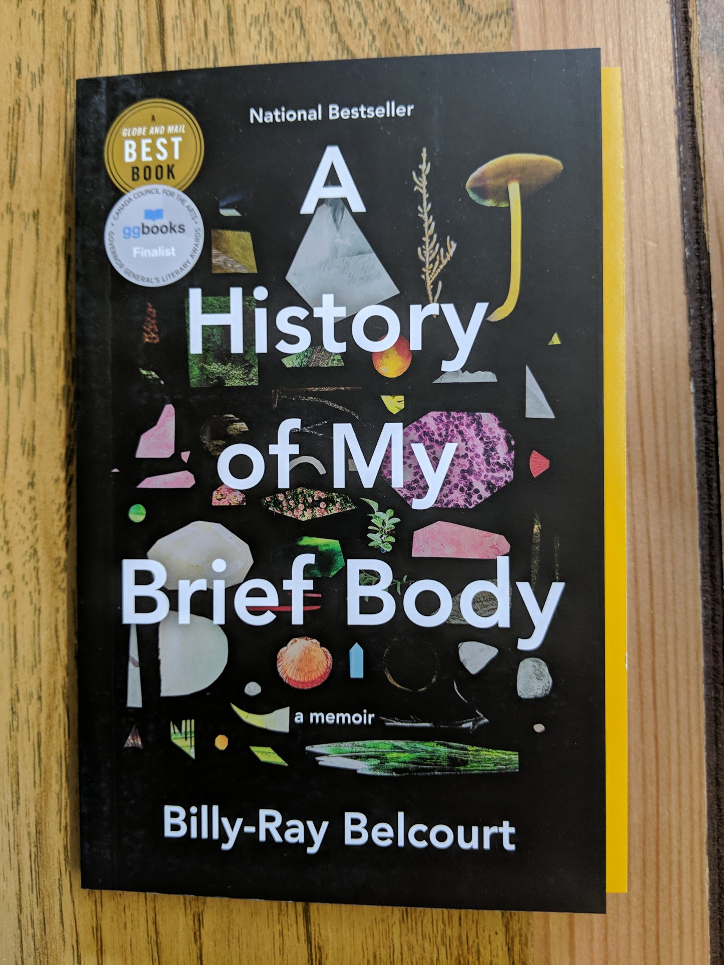 A History of my Brief Body