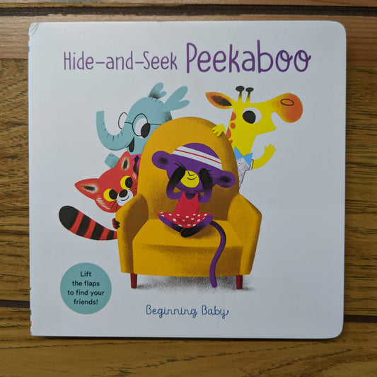 Hide-and-Seek Peekaboo