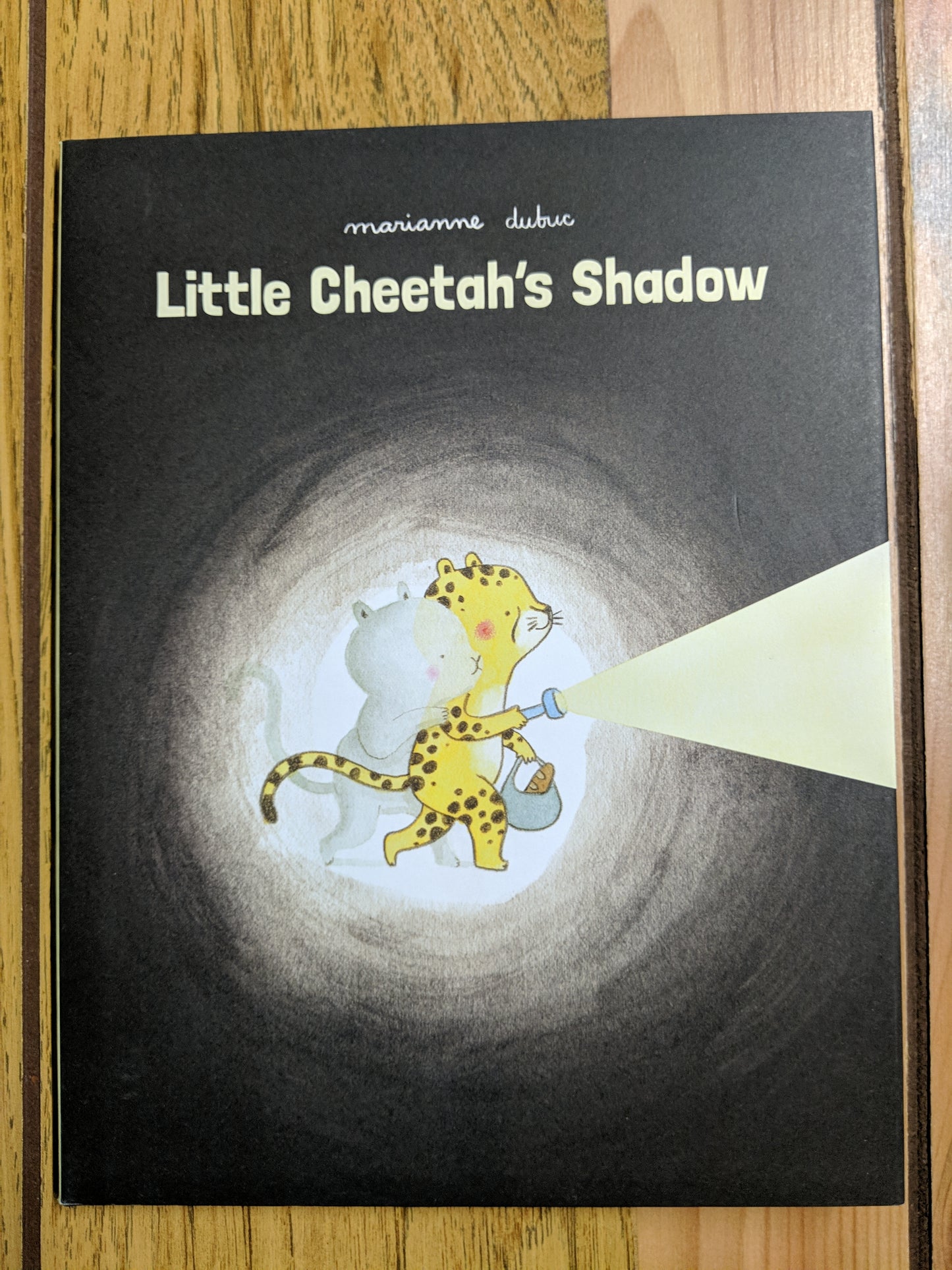 Little Cheetah's Shadow