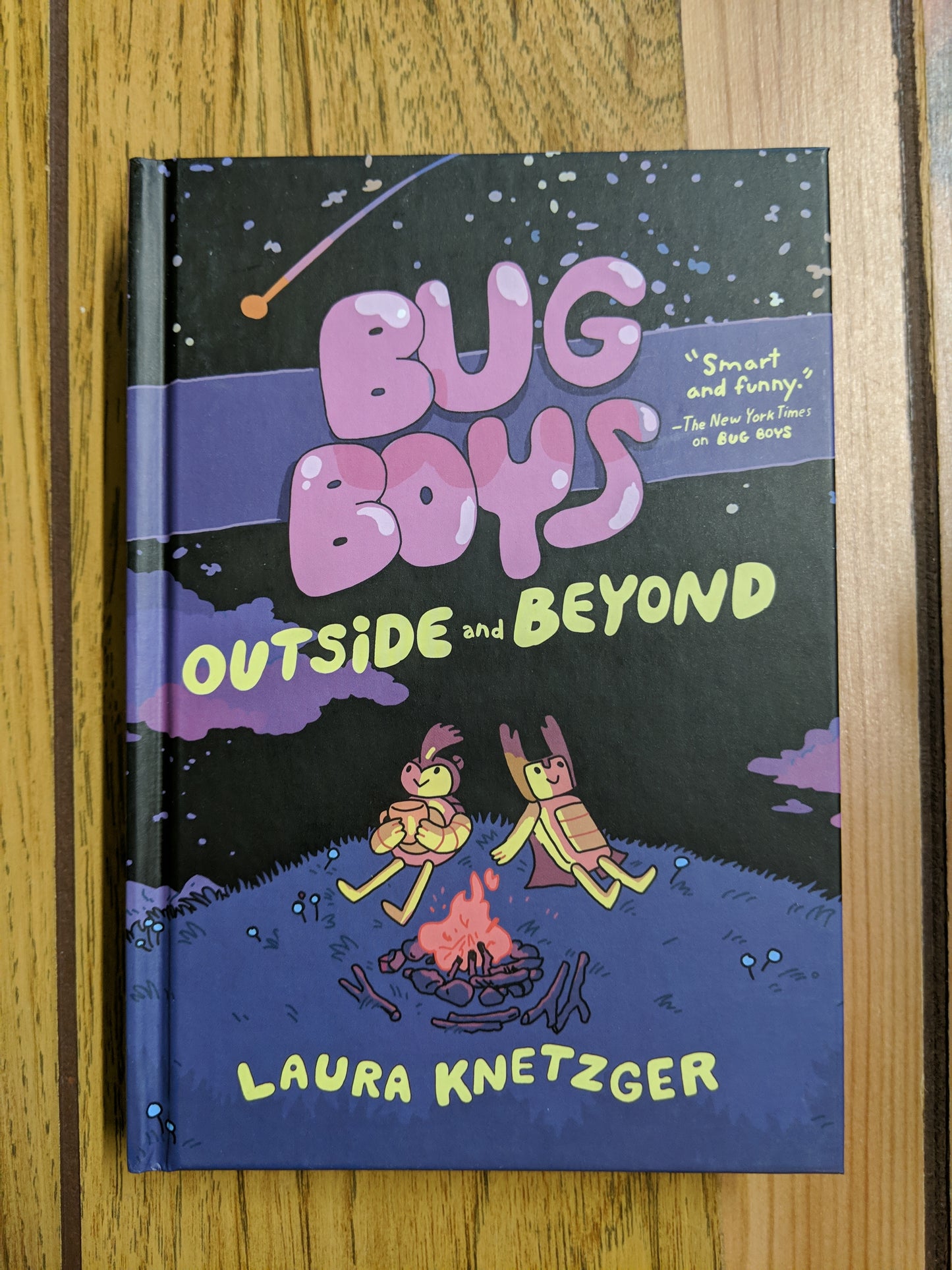 Bug Boys: Outside and Beyond (#2)