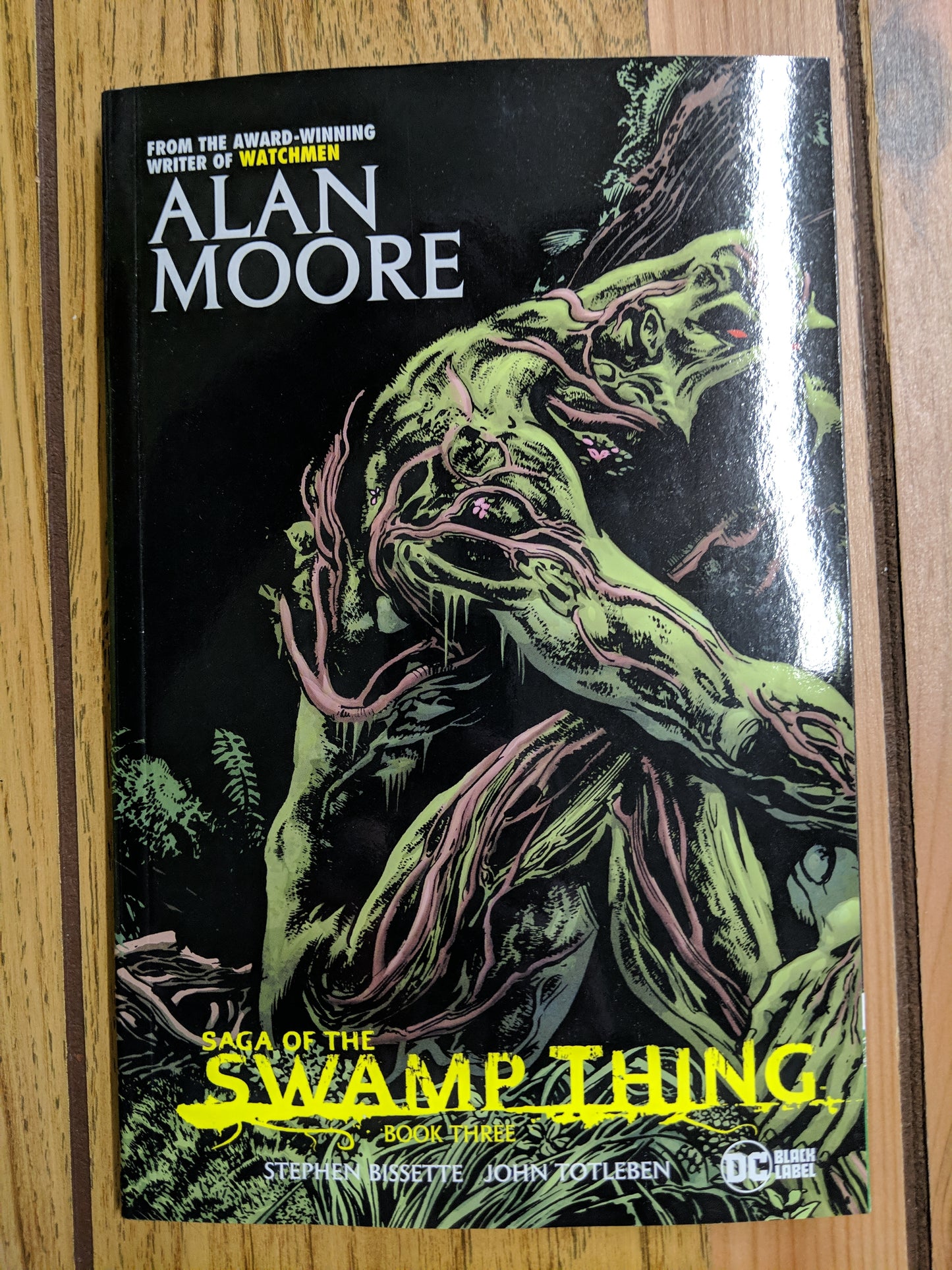 Saga of the Swamp Thing Book 3