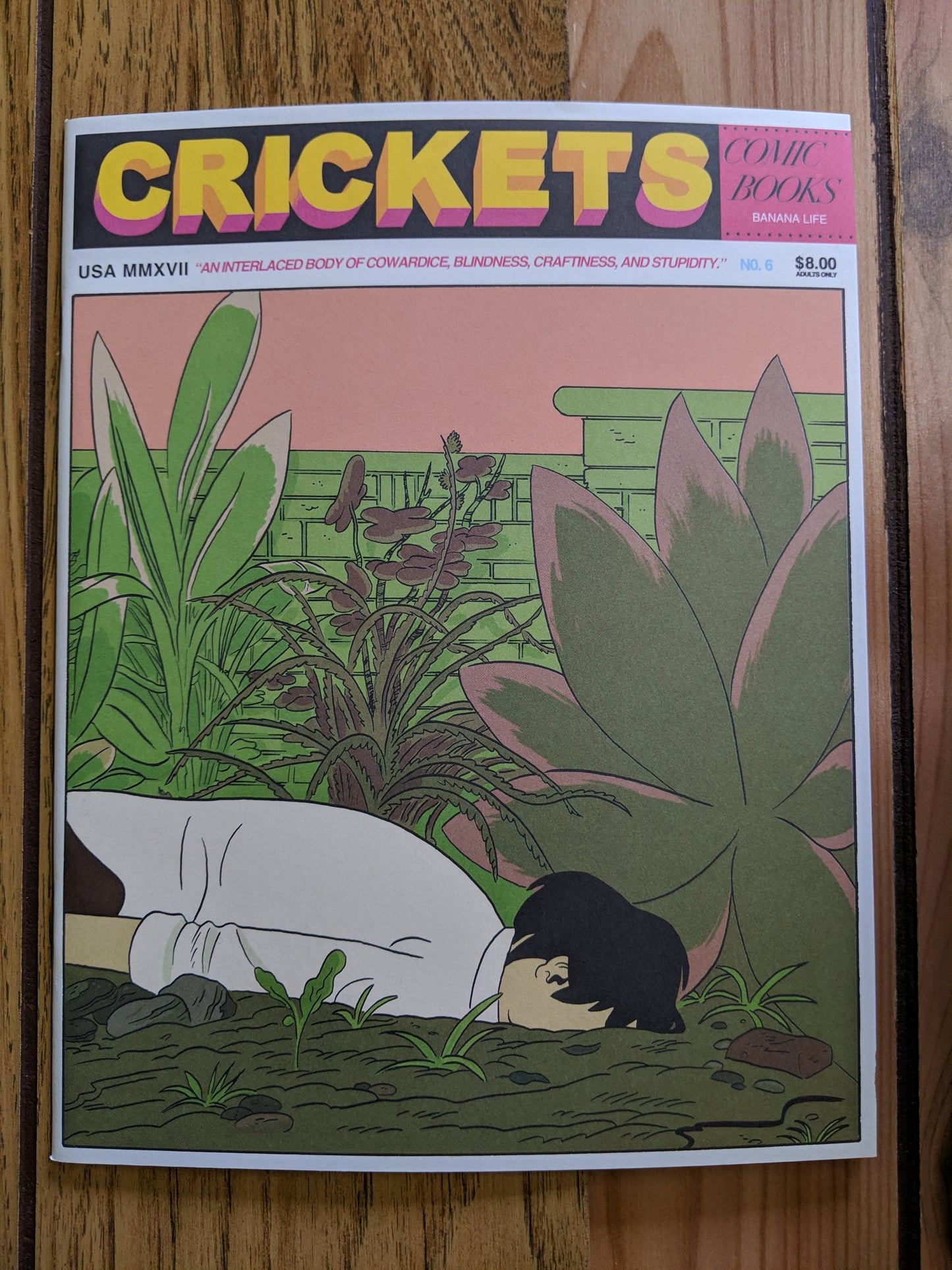 Crickets #6