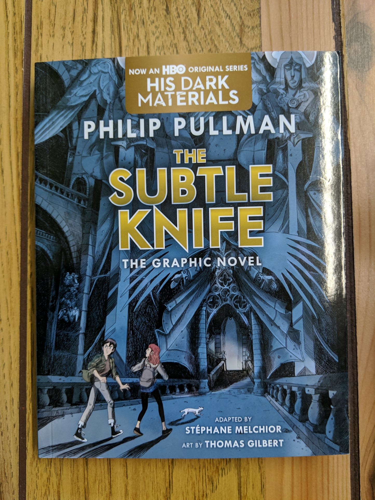The Subtle Knife - The Graphic Novel