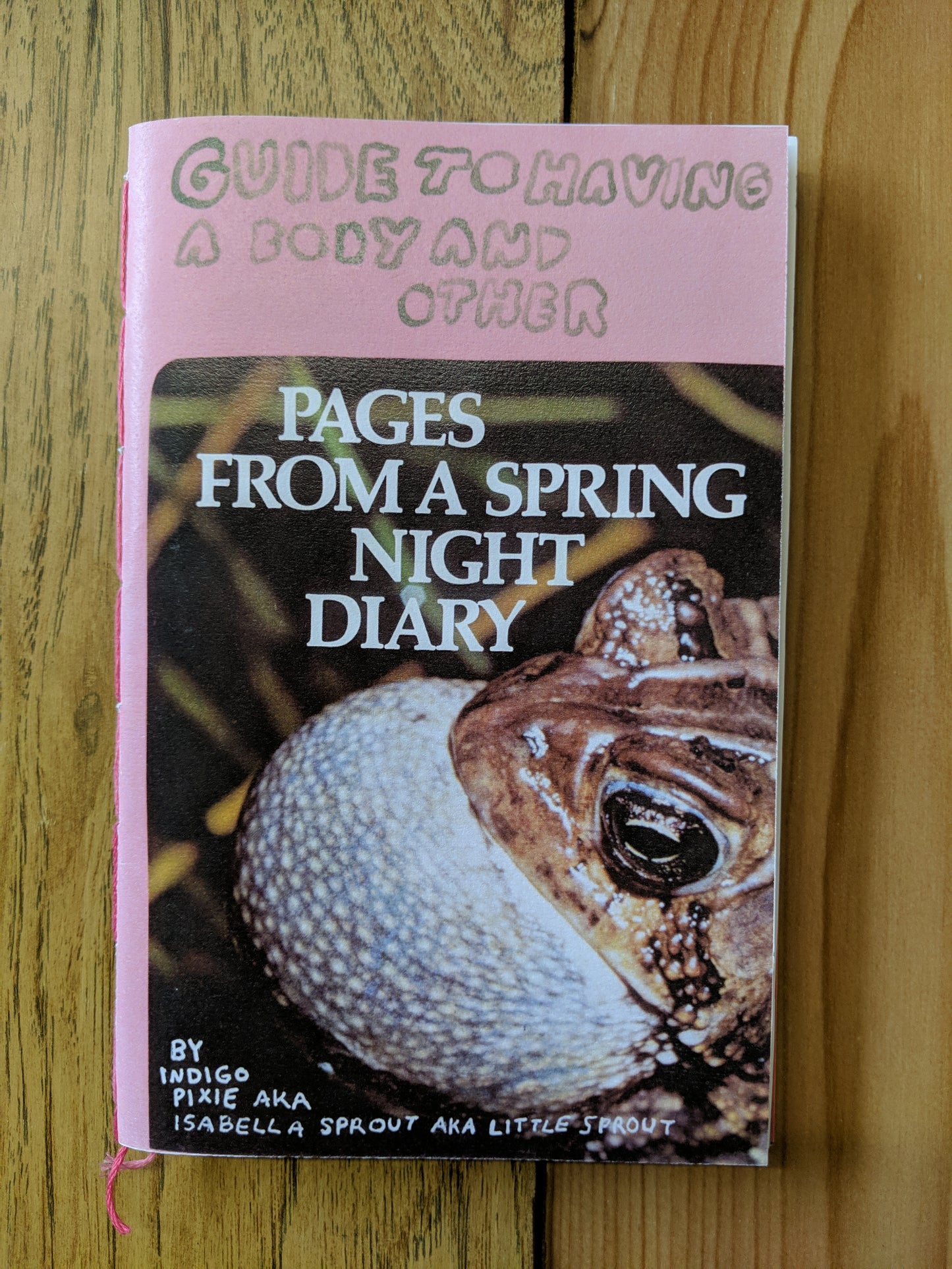 Guide to Having a Body and Other Pages From a Spring Night Diary