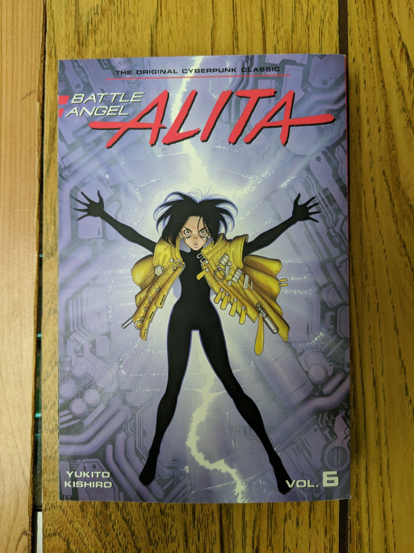 Battle Angel Alita Vol 6