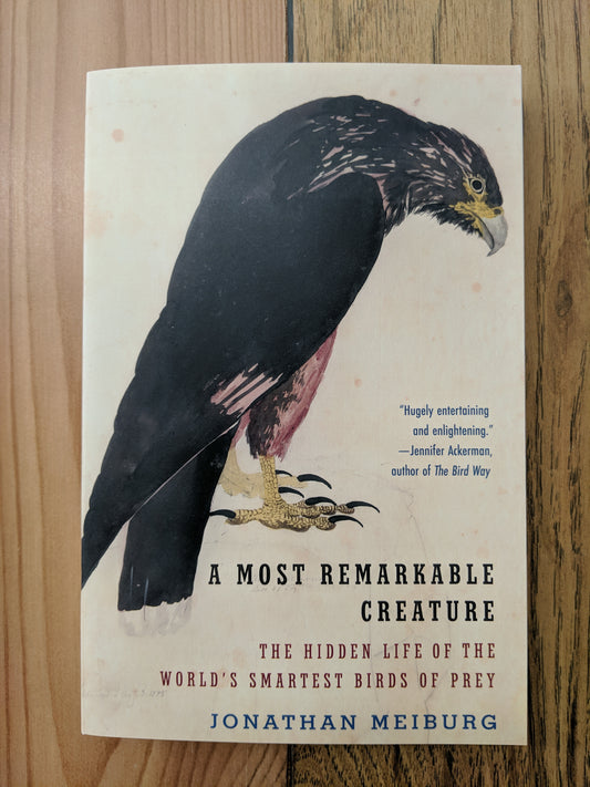 A Most Remarkable Creature