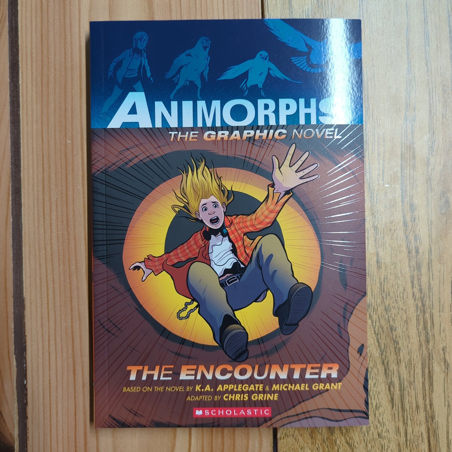 Animorphs the Graphic Novel: The Encounter (Vol 3)