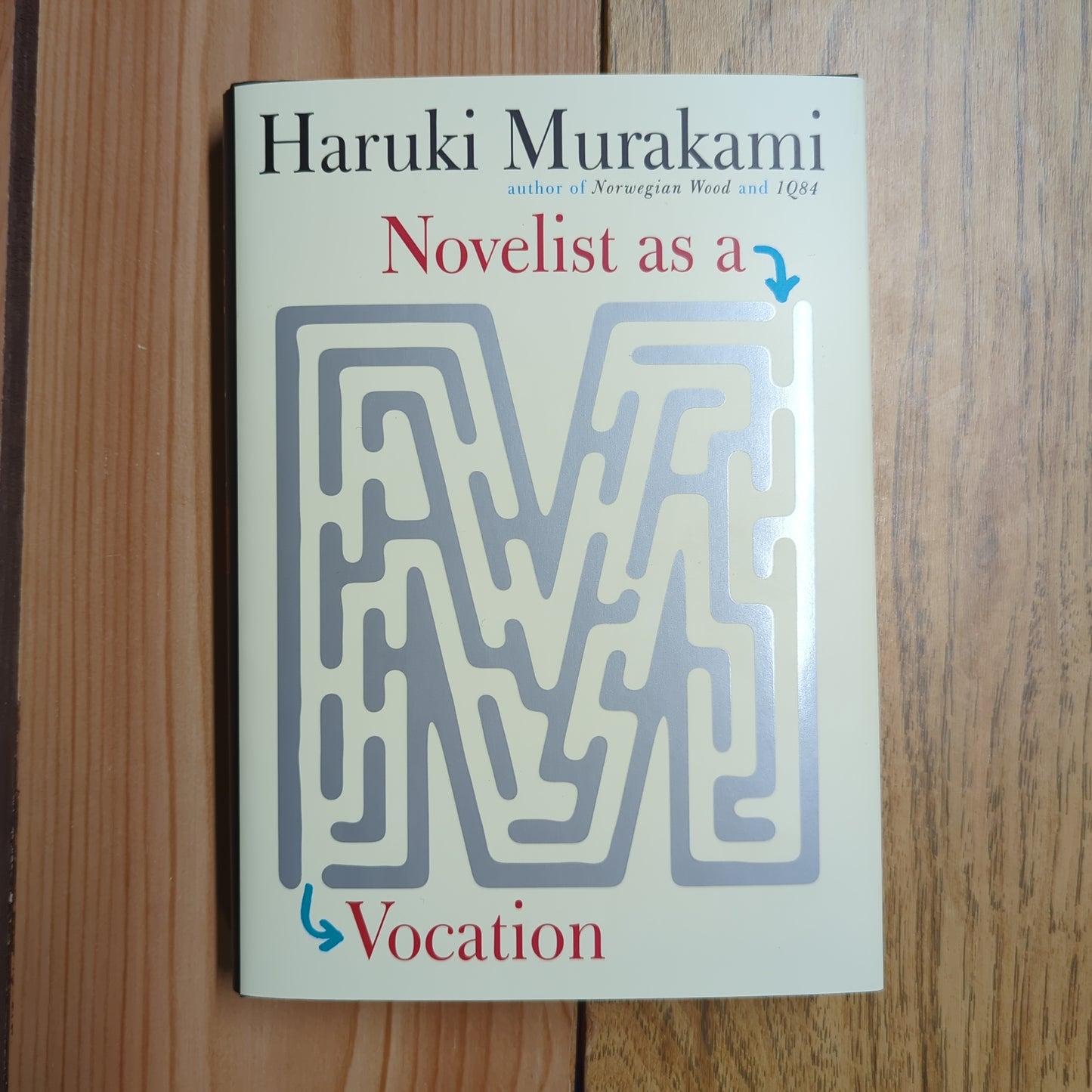 Novelist as a Vocation