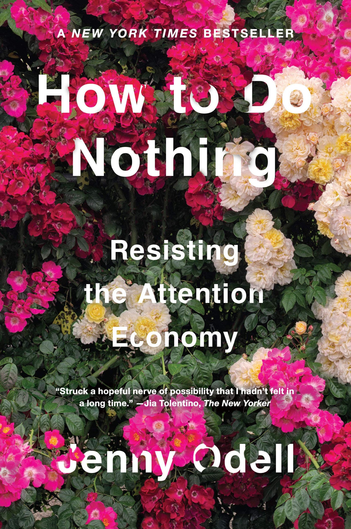 How to Do Nothing - Resisting the Attention Economy