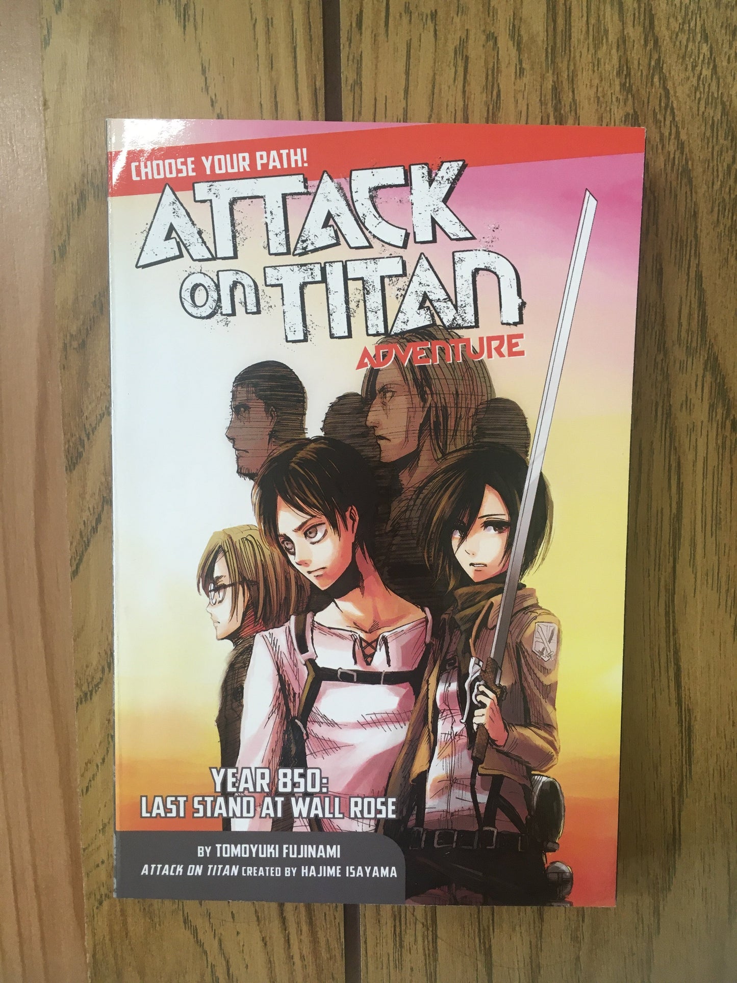 Attack on Titan Choose Your Path Adventure: Year 850: Last Stand At Wall Rose