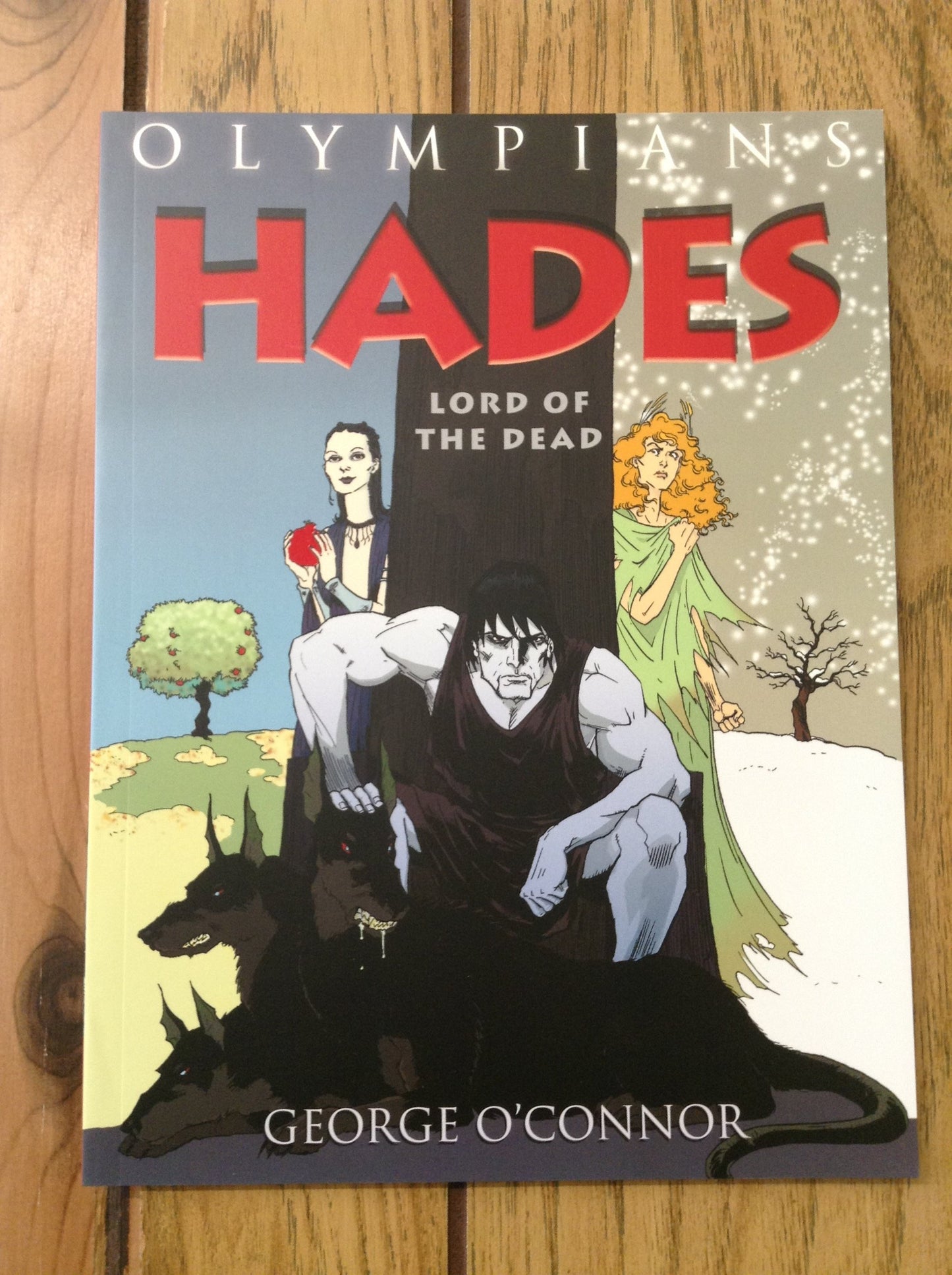 Hades: Lord of the Dead (Olympians Vol 4)