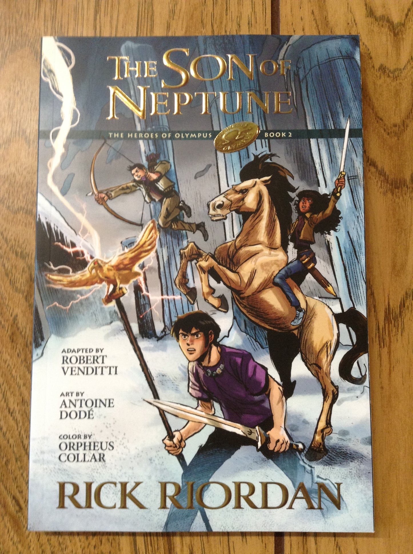 The Son of Neptune (Heroes of Olympus Graphic Novels #2)