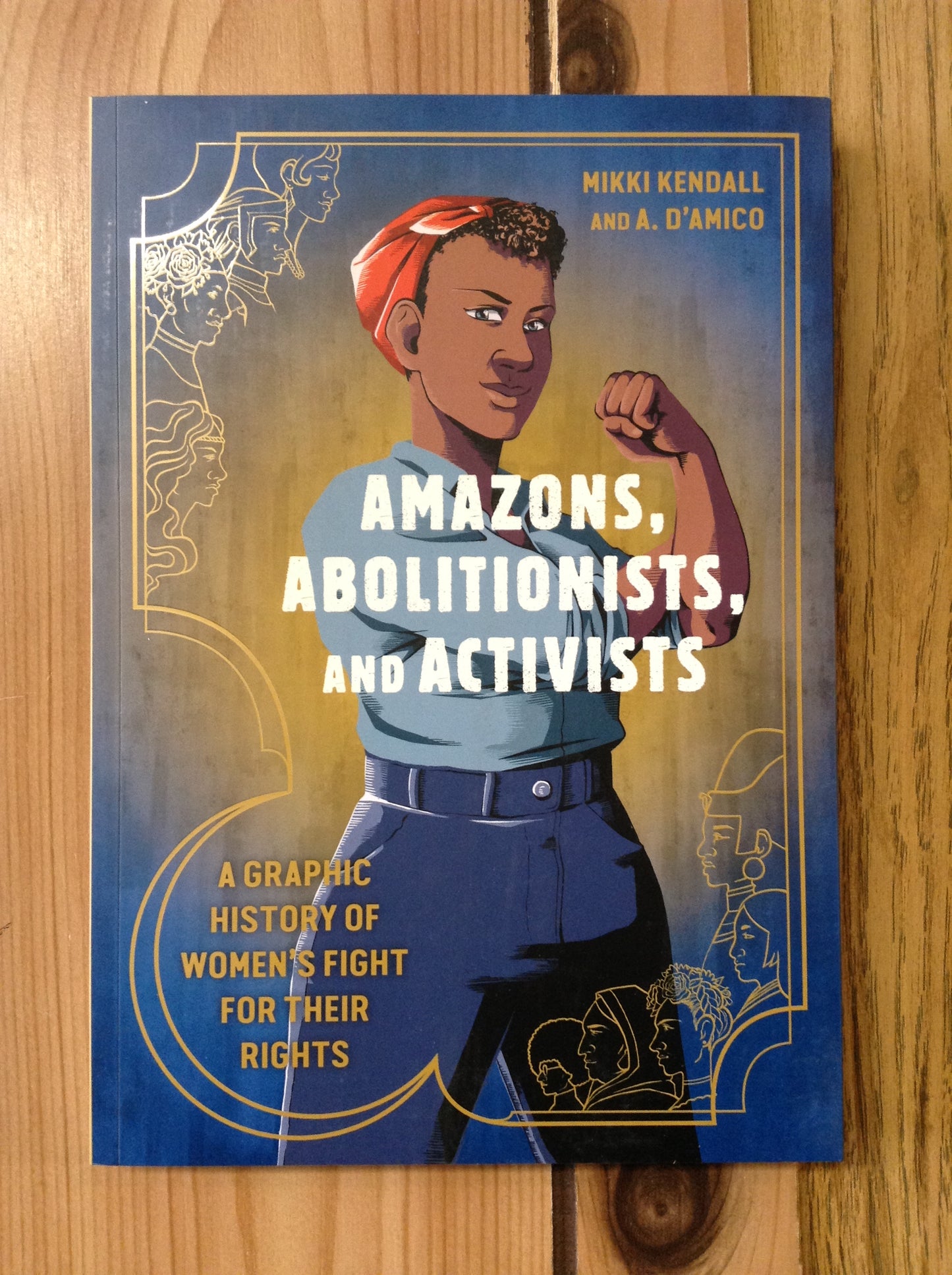 Amazons, Abolitionists, and Activists: A Graphic History of Women's Fight for their Rights