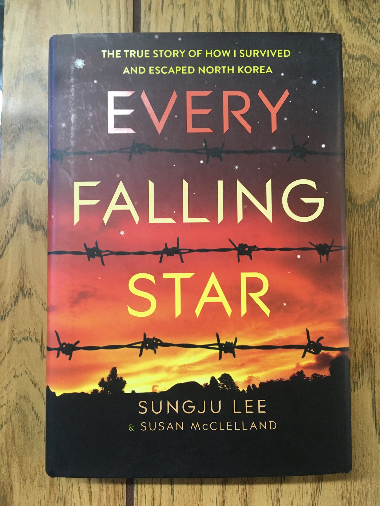 Every Falling Star: The True Story of How I Survived and Escaped North Korea