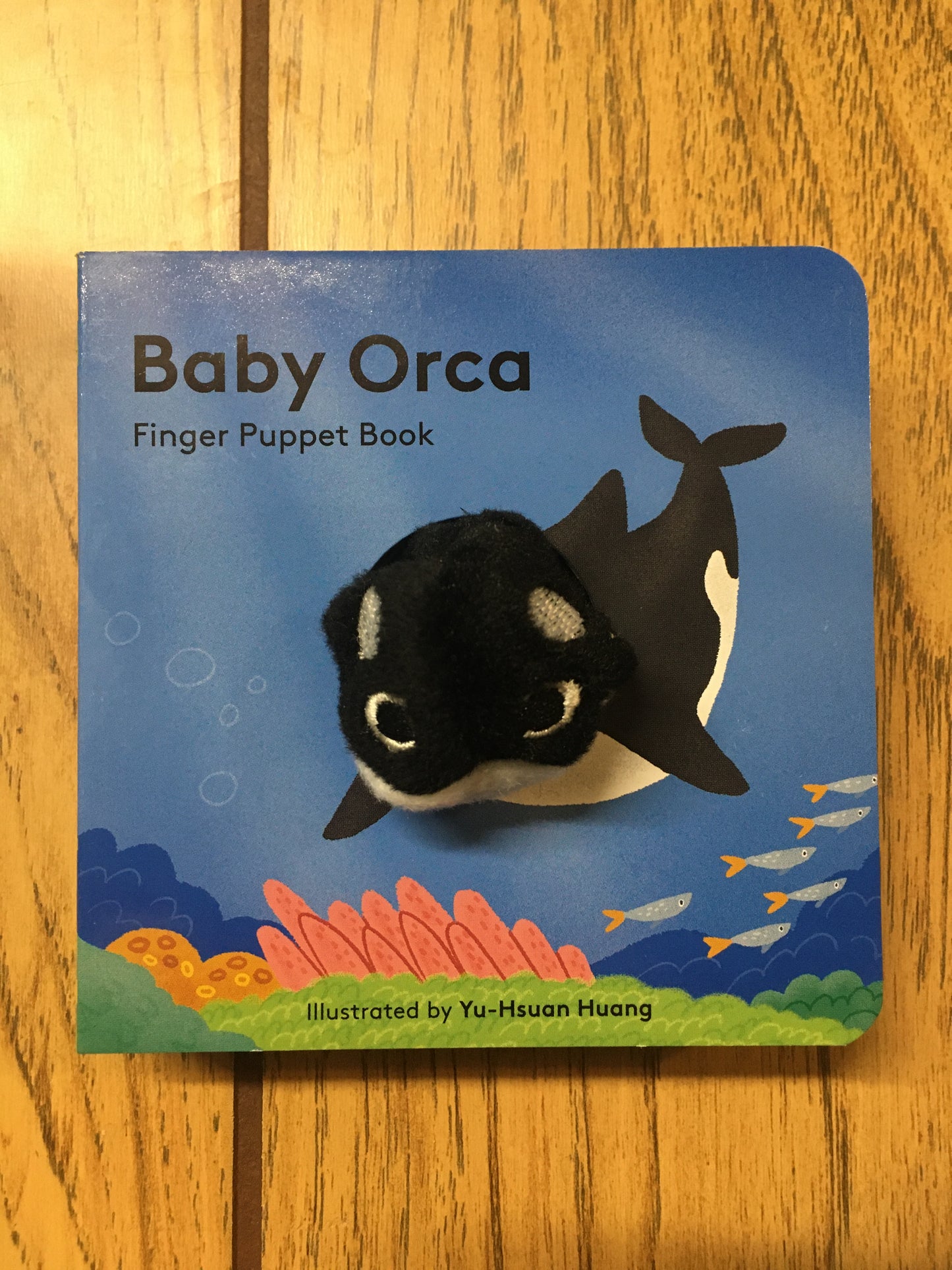 Baby Orca