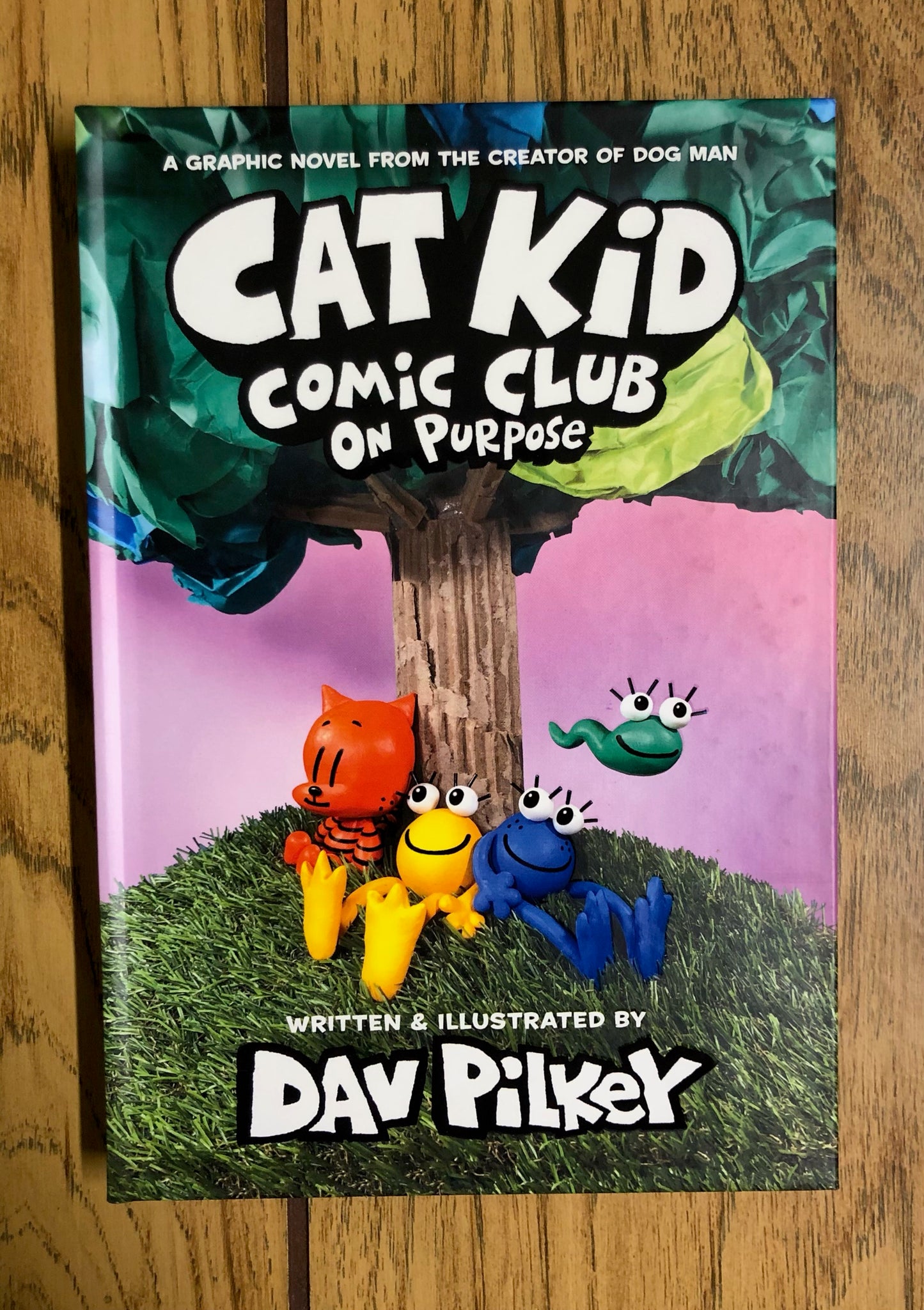 Cat Kid Comic Club: On Purpose (#3)