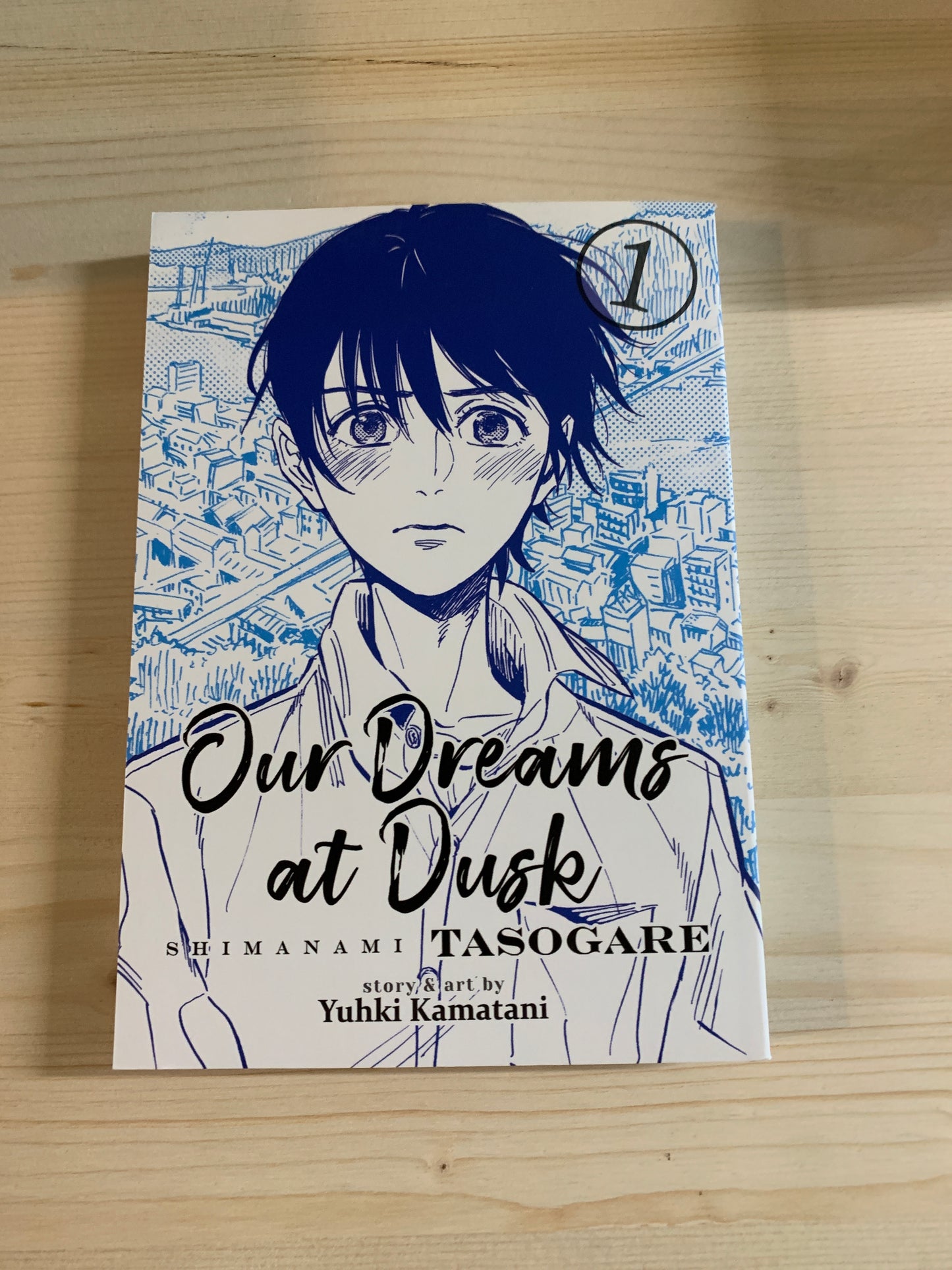 Our Dreams at Dusk Vol 1