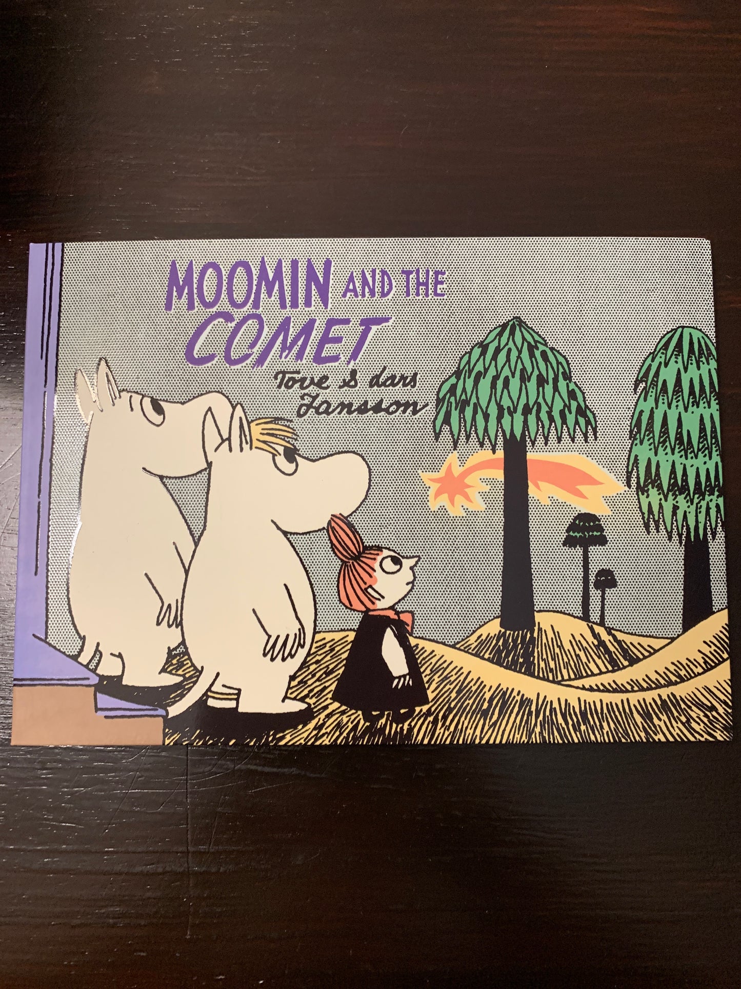 Moomin and the Comet