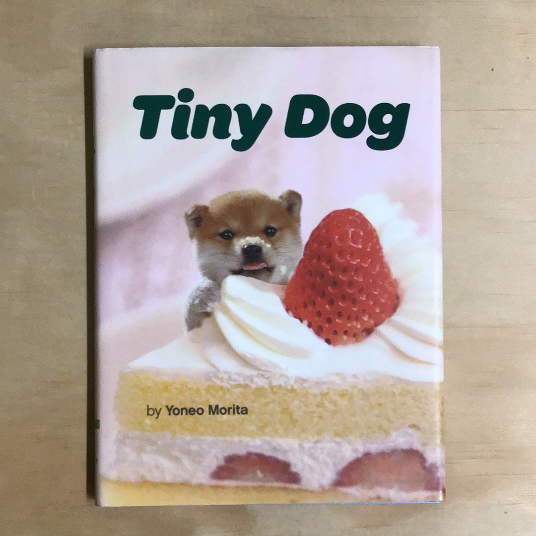 Tiny Dog