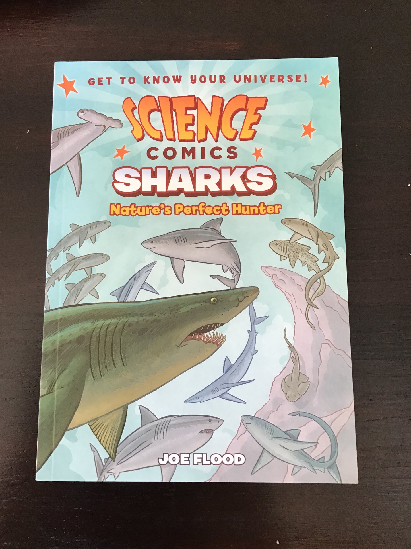 Science Comics: Sharks, Nature’s Perfect Hunter