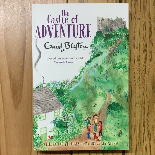 The Castle Of Adventure