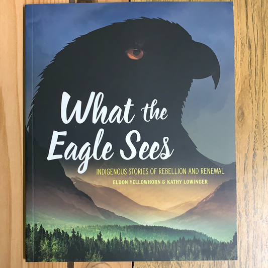 What the Eagle Sees