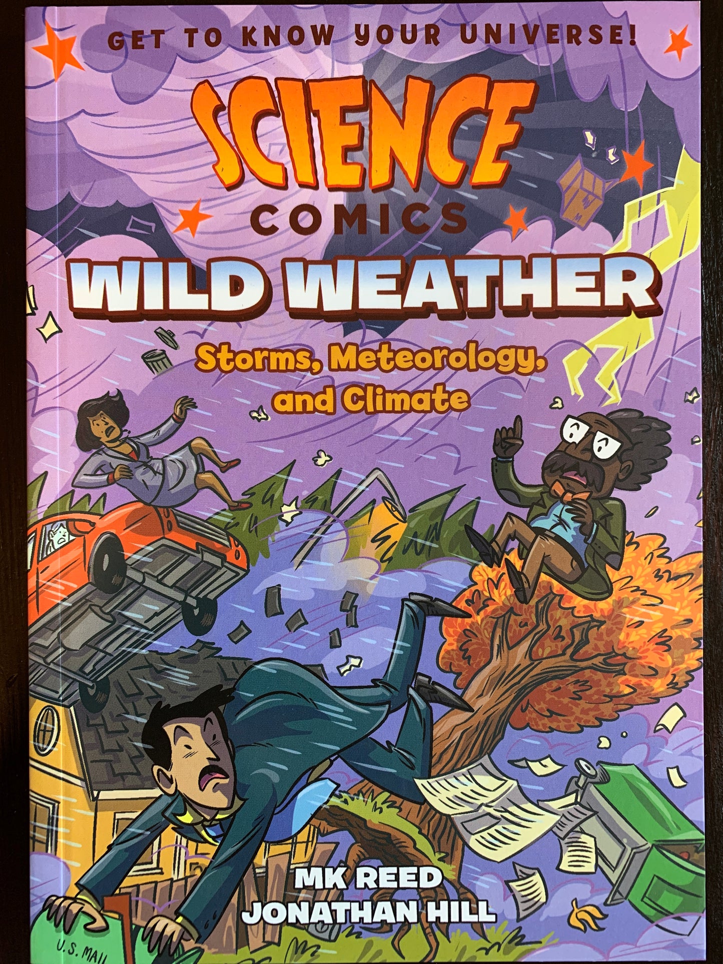 Science Comics: Wild Weather: Storms, Meteorology, and Climate