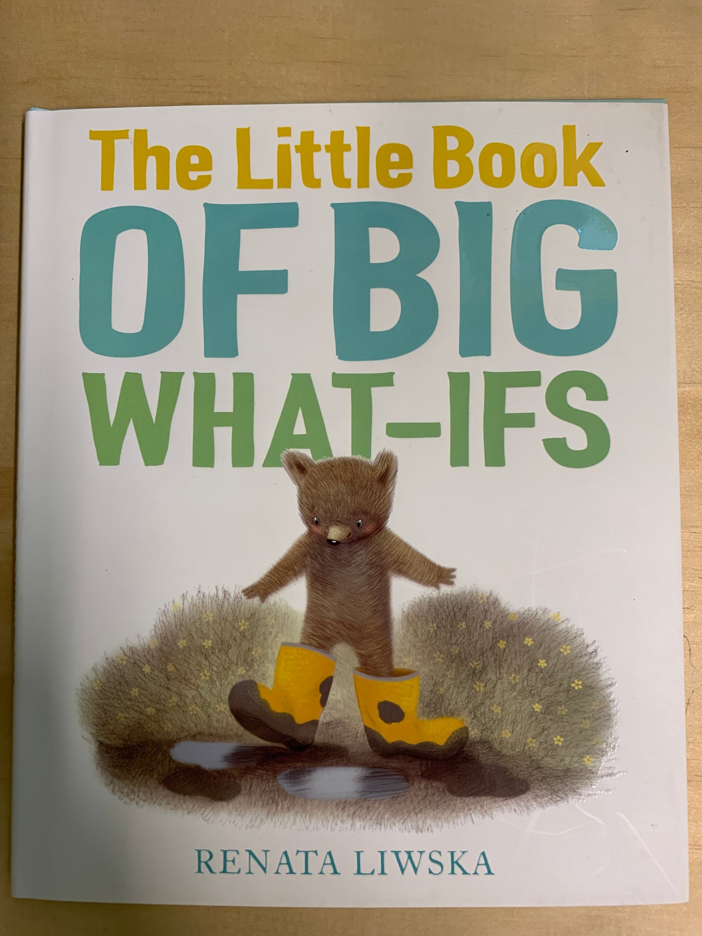 The Little Book of Big What-Ifs