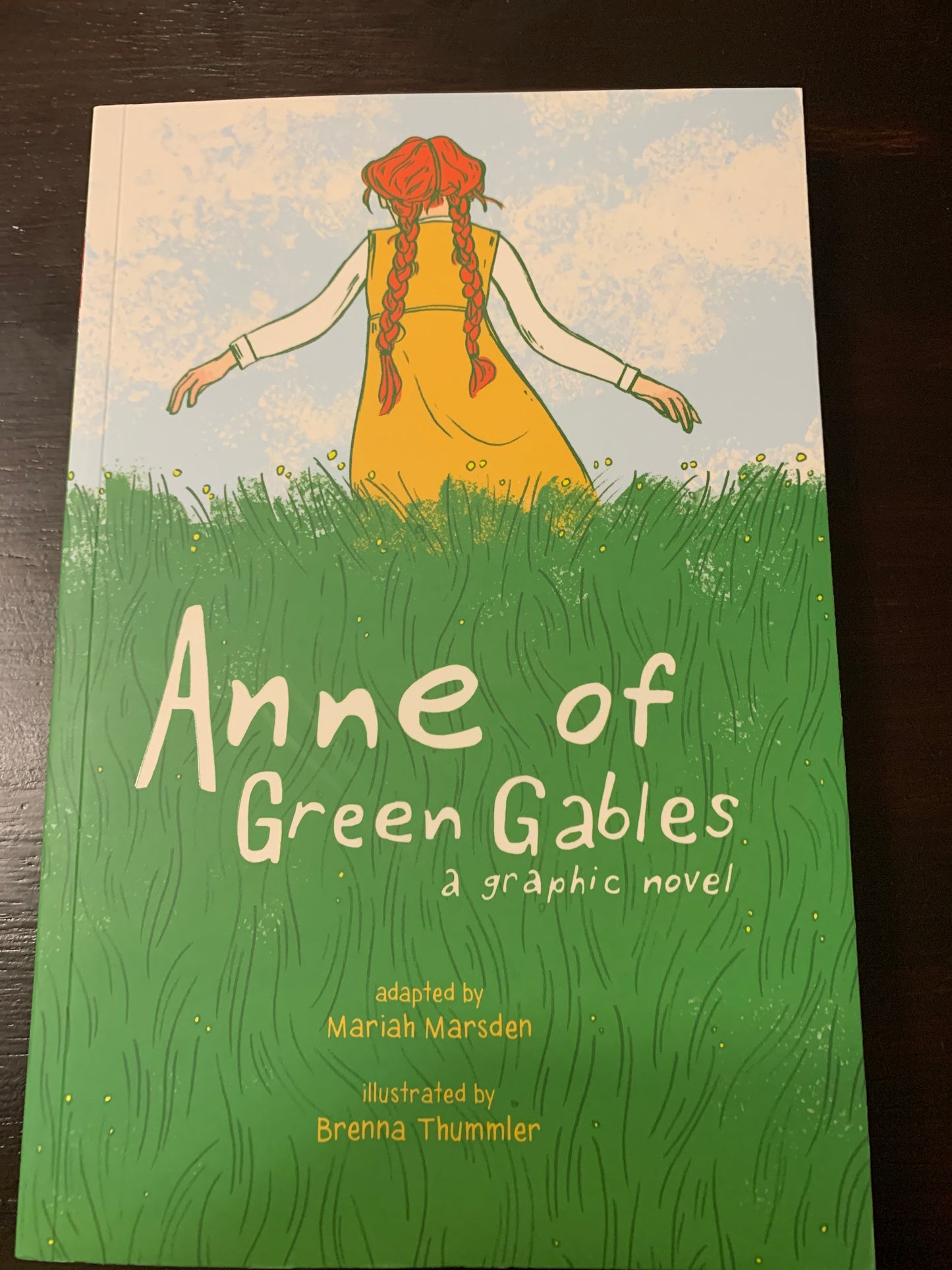 Anne of Green Gables: a graphic novel